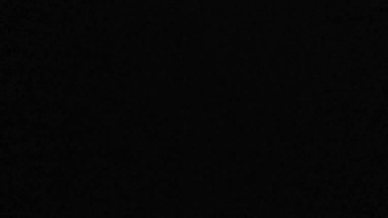 Webcam Porté Puymorens: La vignole