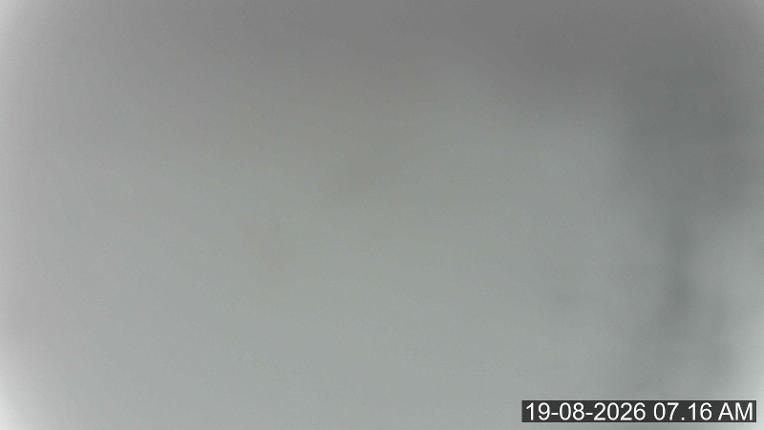 Webcam Porters: Easy Street