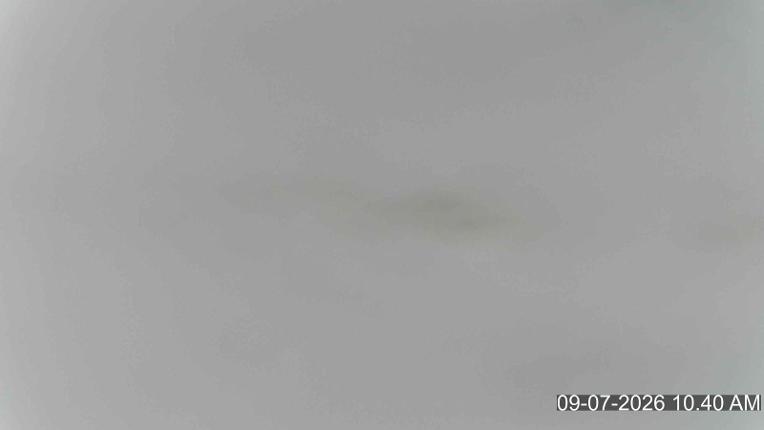 Webcam Porters: Platter