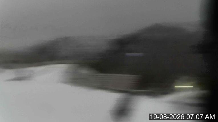 Webcam Porters: Platter