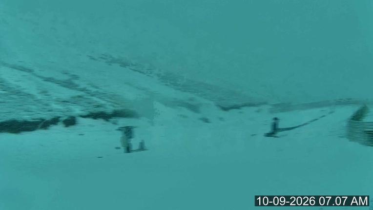 Webcam Porters: Platter