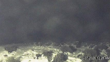 Porters webcam