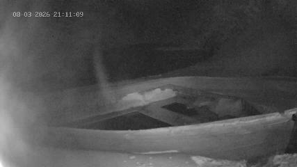 Portillo webcam