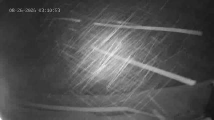 Portillo webcam