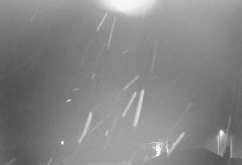 Webcam Puerto de Navacerrada: Zona Baja: Pista El telegrafo