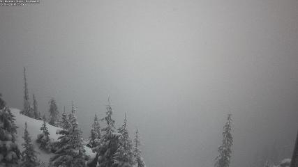 Red Mountain: Granite Mountain Cam (redresort.com)