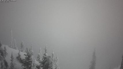 Red Mountain: Granite Mountain Cam (redresort.com)