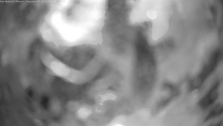 Webcam Red Mountain: Paradise Chair Cam