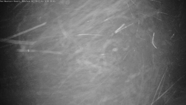 Webcam Red Mountain: Red Mountain Cam