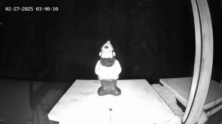 Webcam Revelstoke Mountain: Gnorm the Powder Gnome