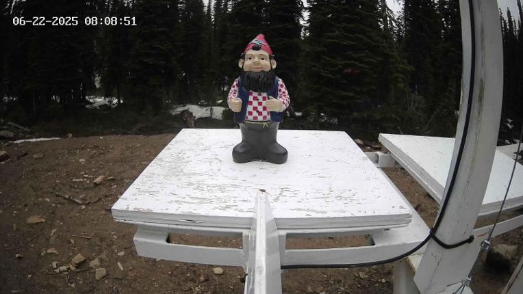 Webcam Revelstoke Mountain: Gnorm the Powder Gnome