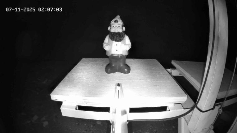 Webcam Revelstoke Mountain: Gnorm the Powder Gnome