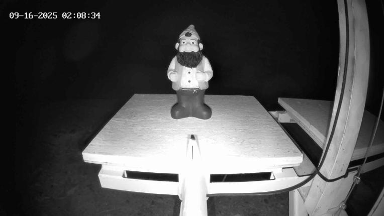 Webcam Revelstoke Mountain: Gnorm the Powder Gnome