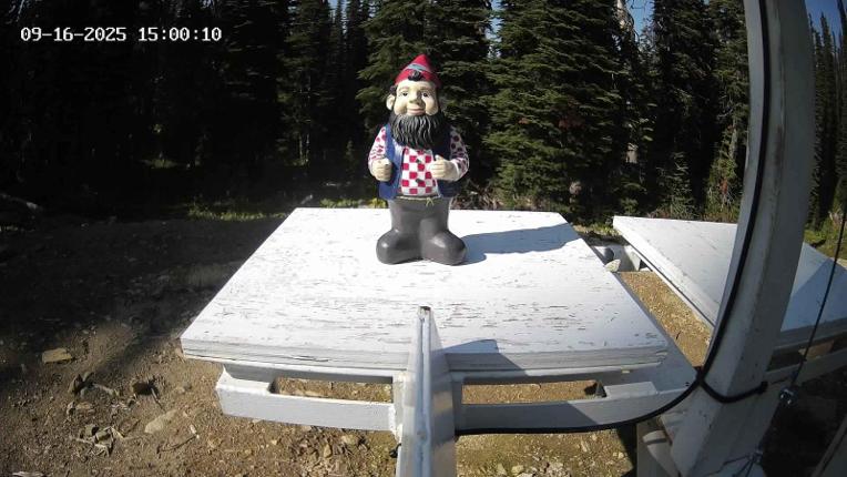 Webcam Revelstoke Mountain: Gnorm the Powder Gnome