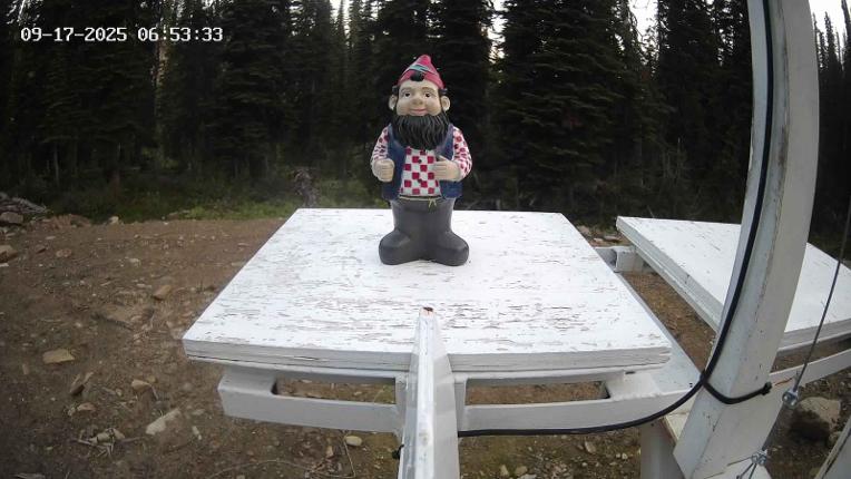 Webcam Revelstoke Mountain: Gnorm the Powder Gnome