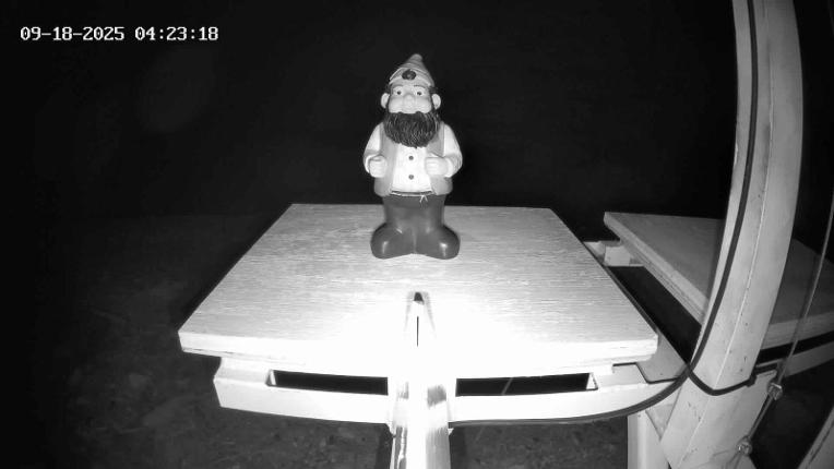 Webcam Revelstoke Mountain: Gnorm the Powder Gnome