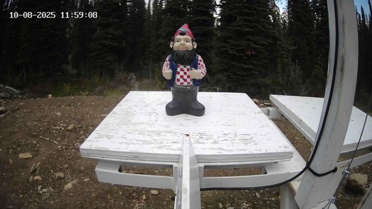 Webcam Revelstoke Mountain: Gnorm the Powder Gnome