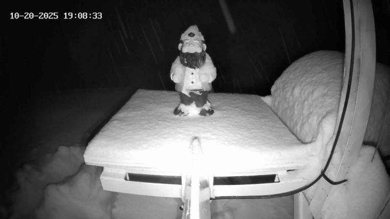 Webcam Revelstoke Mountain: Gnorm the Powder Gnome