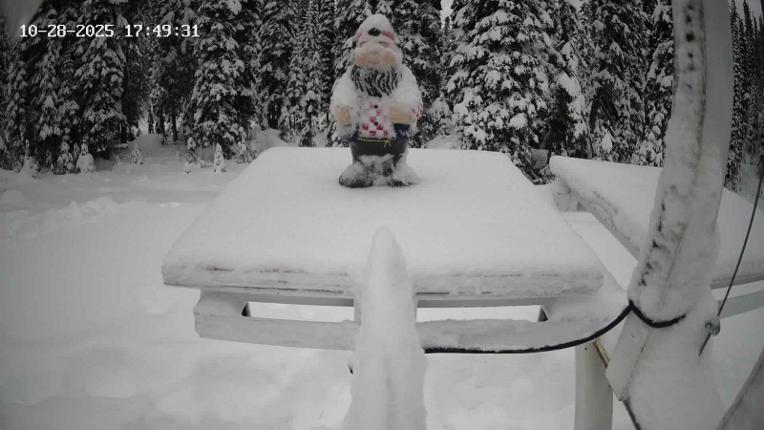 Webcam Revelstoke Mountain: Gnorm the Powder Gnome