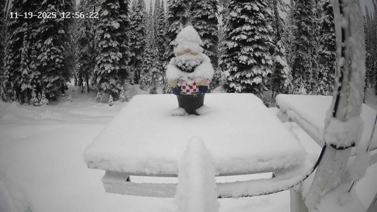 Webcam Revelstoke Mountain: Gnorm the Powder Gnome