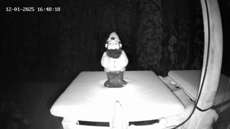 Webcam Revelstoke Mountain: Gnorm the Powder Gnome
