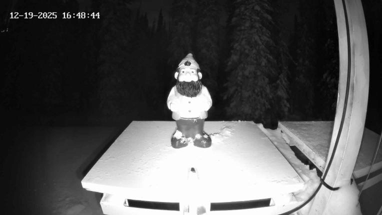 Webcam Revelstoke Mountain: Gnorm the Powder Gnome