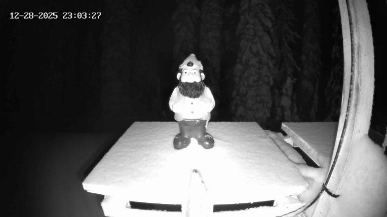 Webcam Revelstoke Mountain: Gnorm the Powder Gnome