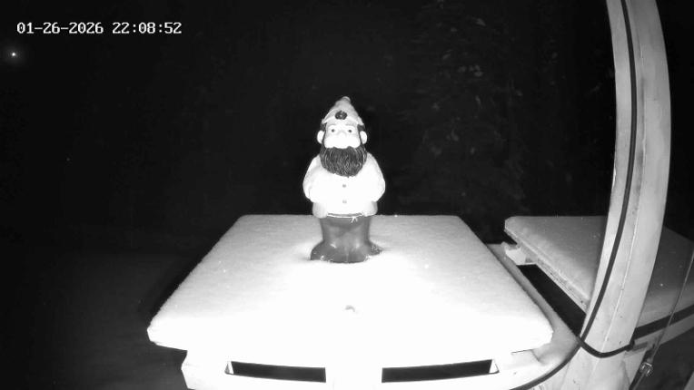 Webcam Revelstoke Mountain: Gnorm the Powder Gnome
