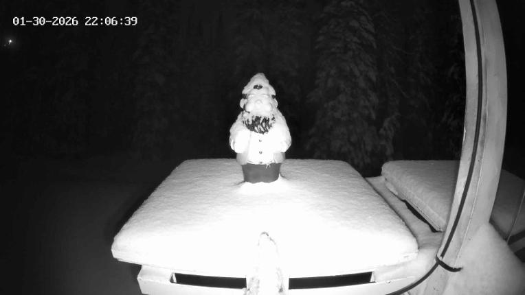 Webcam Revelstoke Mountain: Gnorm the Powder Gnome
