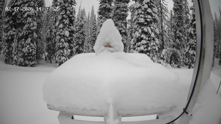 Webcam Revelstoke Mountain: Gnorm the Powder Gnome