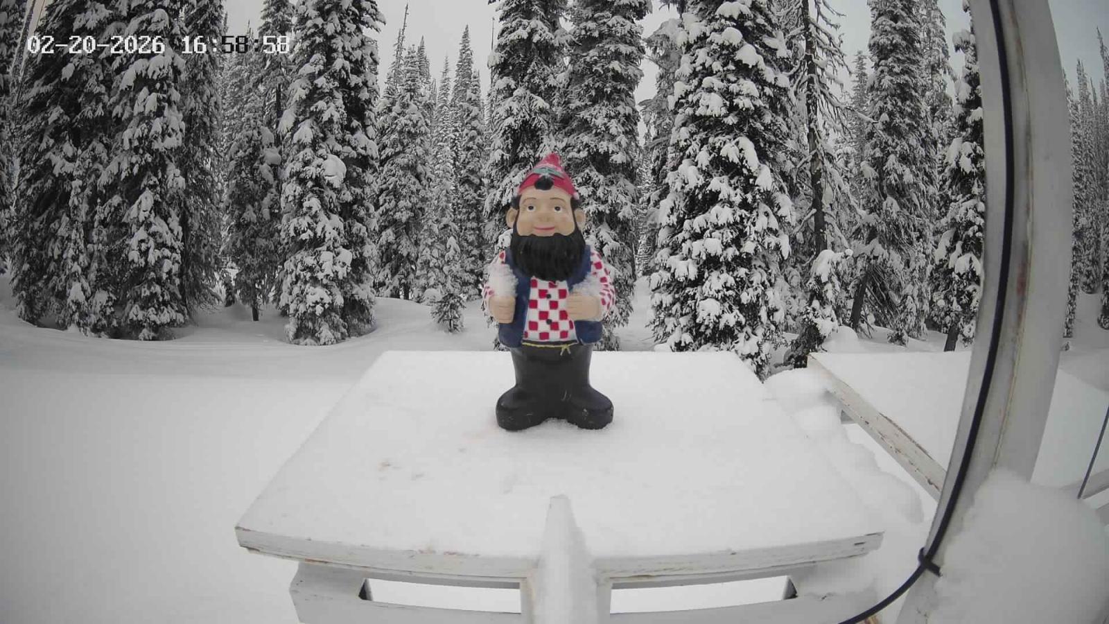 Webcam Revelstoke Mountain: Gnorm the Powder Gnome