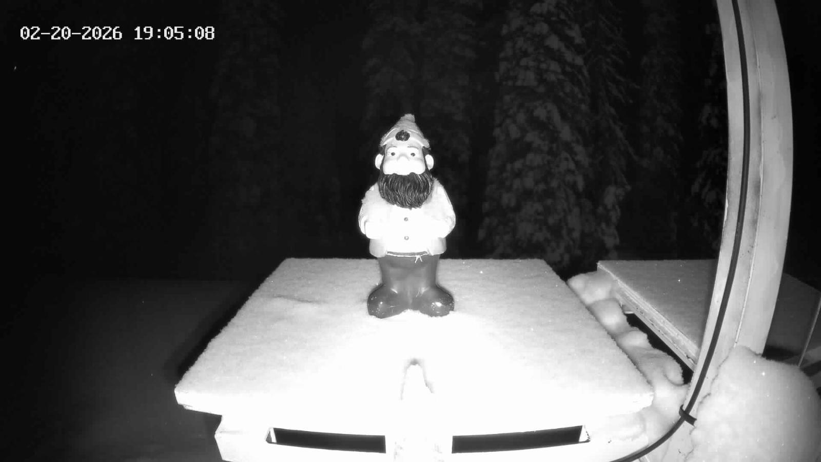 Webcam Revelstoke Mountain: Gnorm the Powder Gnome