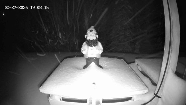Webcam Revelstoke Mountain: Gnorm the Powder Gnome