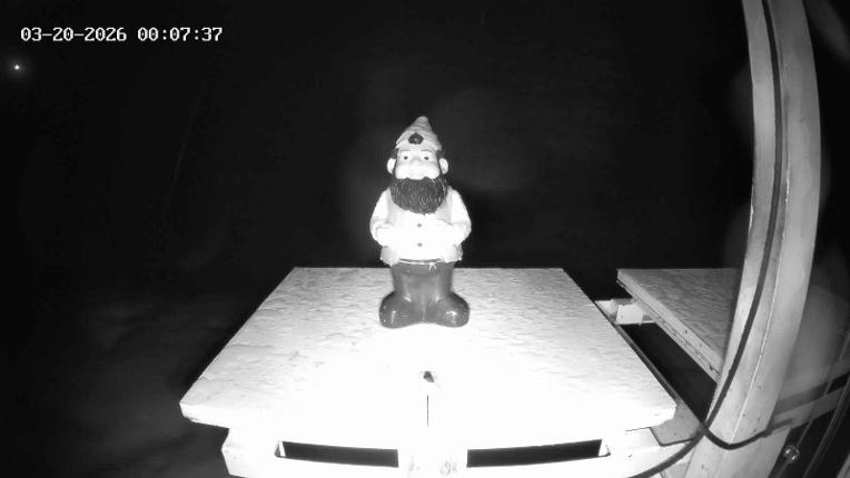Webcam Revelstoke Mountain: Gnorm the Powder Gnome