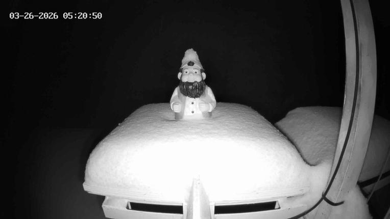Webcam Revelstoke Mountain: Gnorm the Powder Gnome