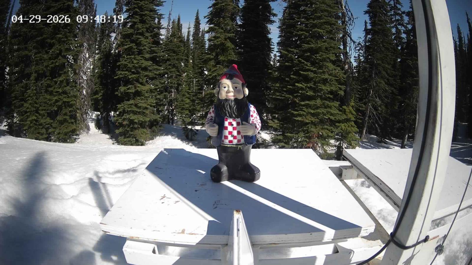 Webcam Revelstoke Mountain: Gnorm the Powder Gnome