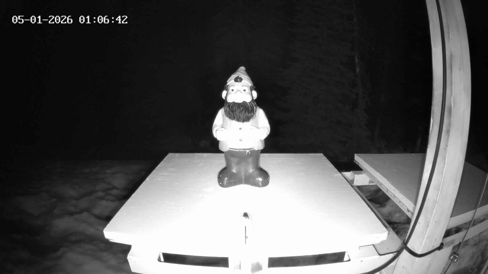 Webcam Revelstoke Mountain: Gnorm the Powder Gnome