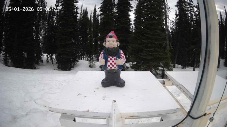 Webcam Revelstoke Mountain: Gnorm the Powder Gnome