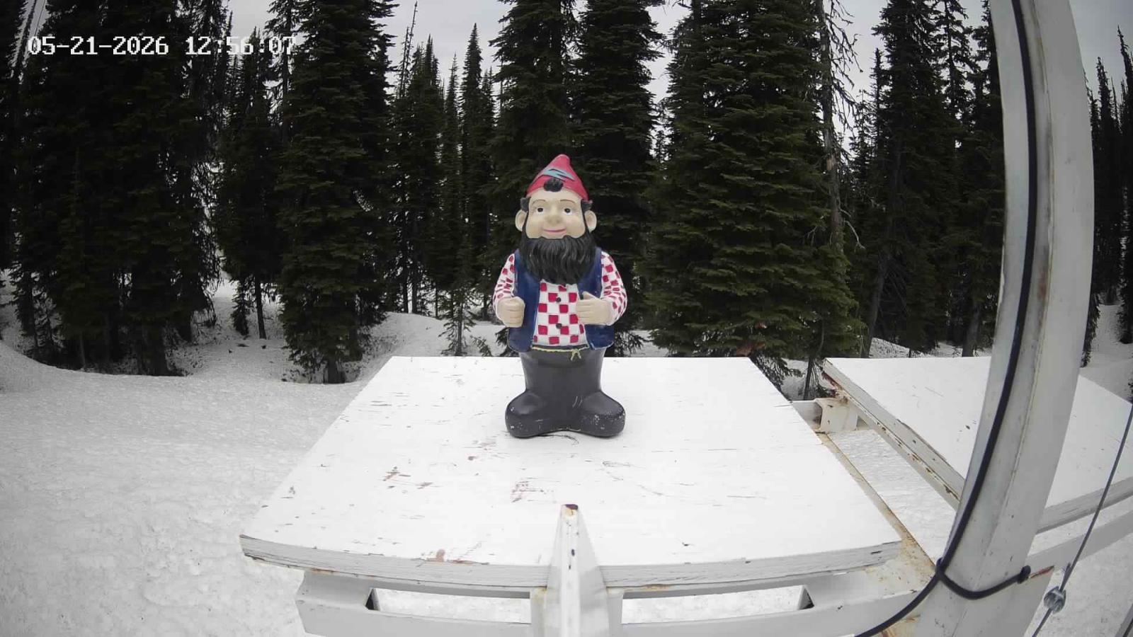 Webcam Revelstoke Mountain: Gnorm the Powder Gnome