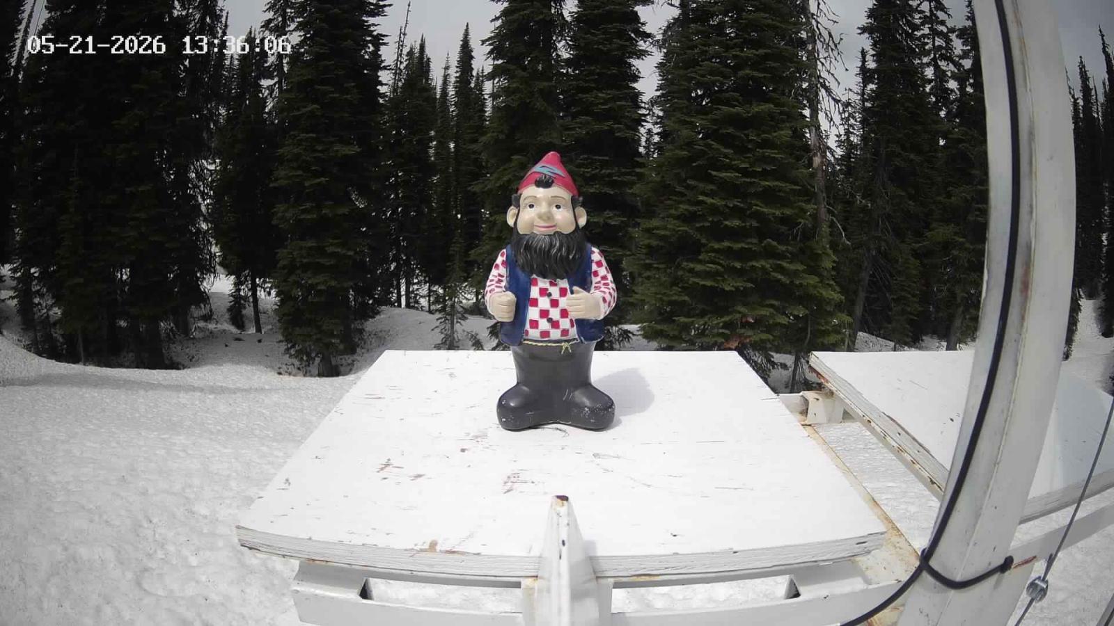 Webcam Revelstoke Mountain: Gnorm the Powder Gnome
