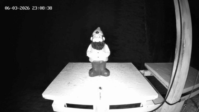 Webcam Revelstoke Mountain: Gnorm the Powder Gnome