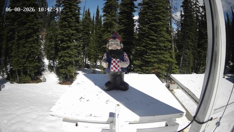 Webcam Revelstoke Mountain: Gnorm the Powder Gnome