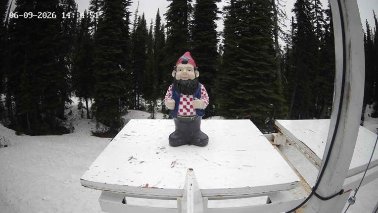 Webcam Revelstoke Mountain: Gnorm the Powder Gnome