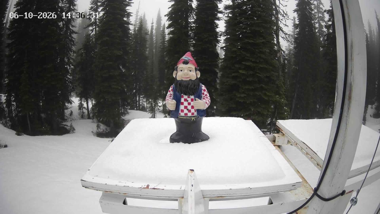 Webcam Revelstoke Mountain: Gnorm the Powder Gnome