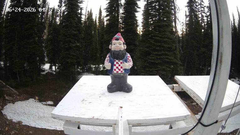 Webcam Revelstoke Mountain: Gnorm the Powder Gnome