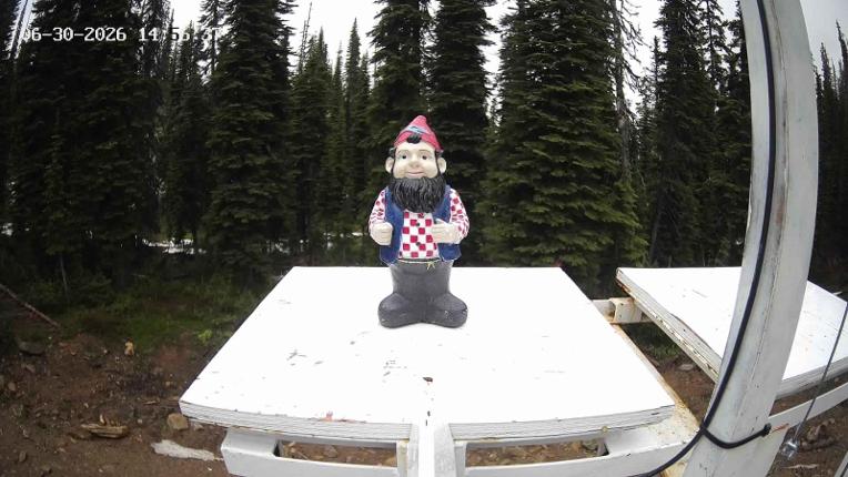 Webcam Revelstoke Mountain: Gnorm the Powder Gnome