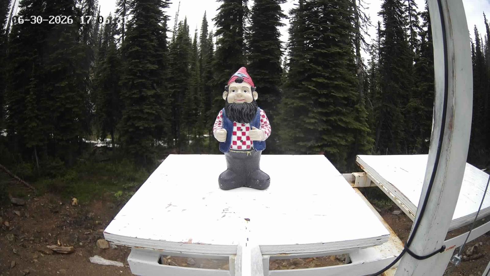 Webcam Revelstoke Mountain: Gnorm the Powder Gnome