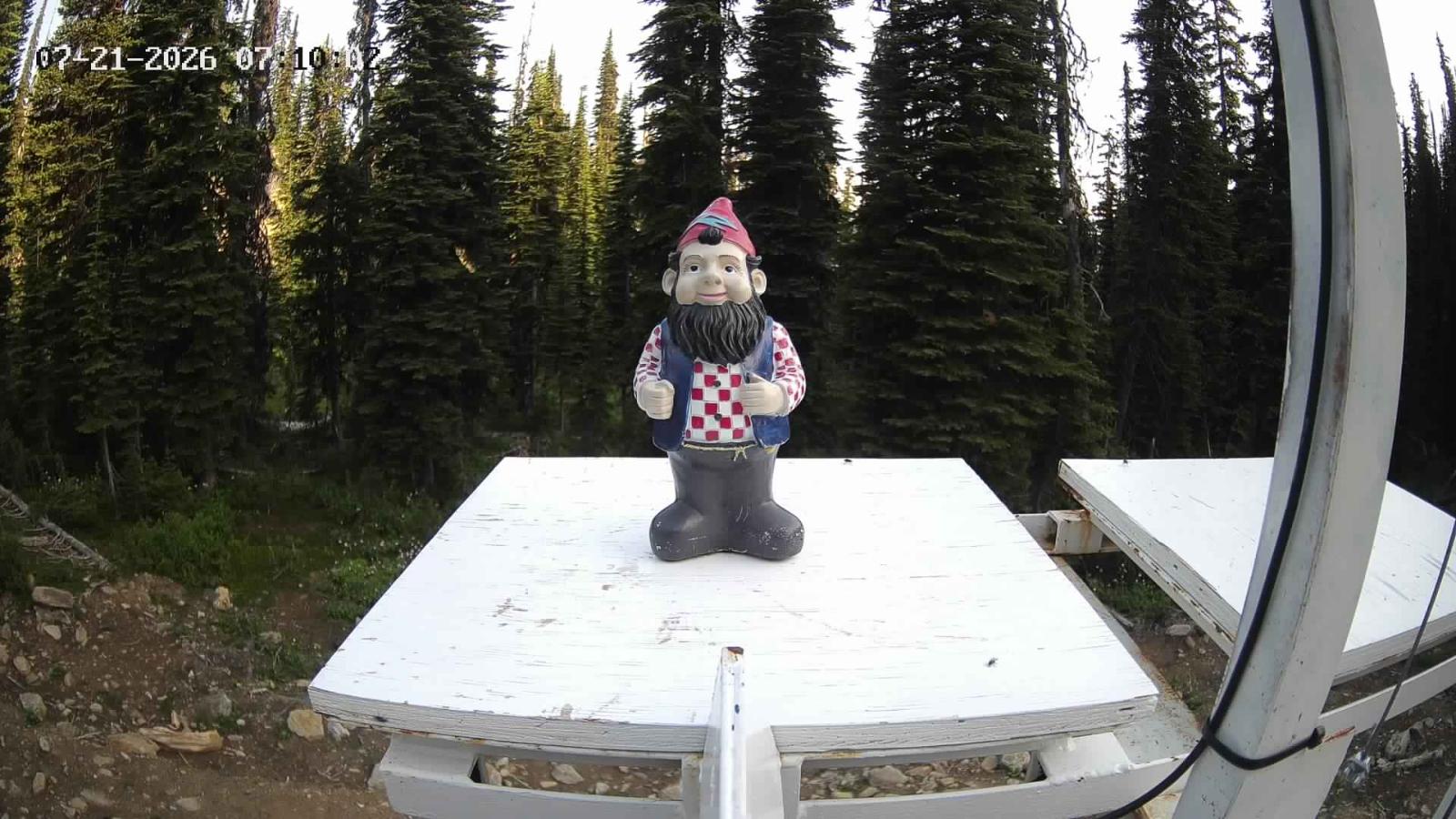 Webcam Revelstoke Mountain: Gnorm the Powder Gnome
