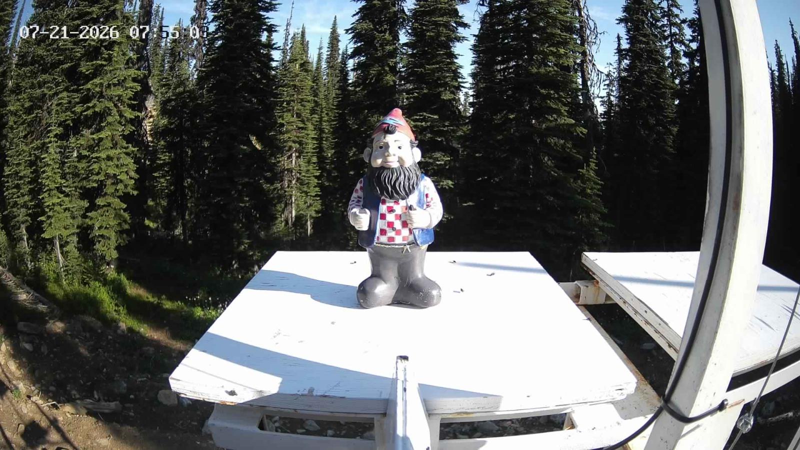 Webcam Revelstoke Mountain: Gnorm the Powder Gnome