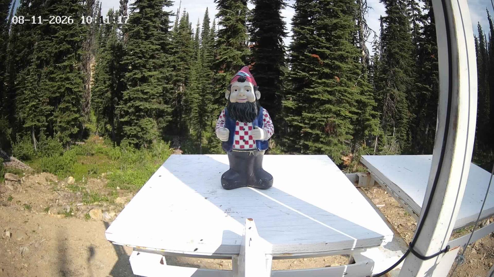 Webcam Revelstoke Mountain: Gnorm the Powder Gnome